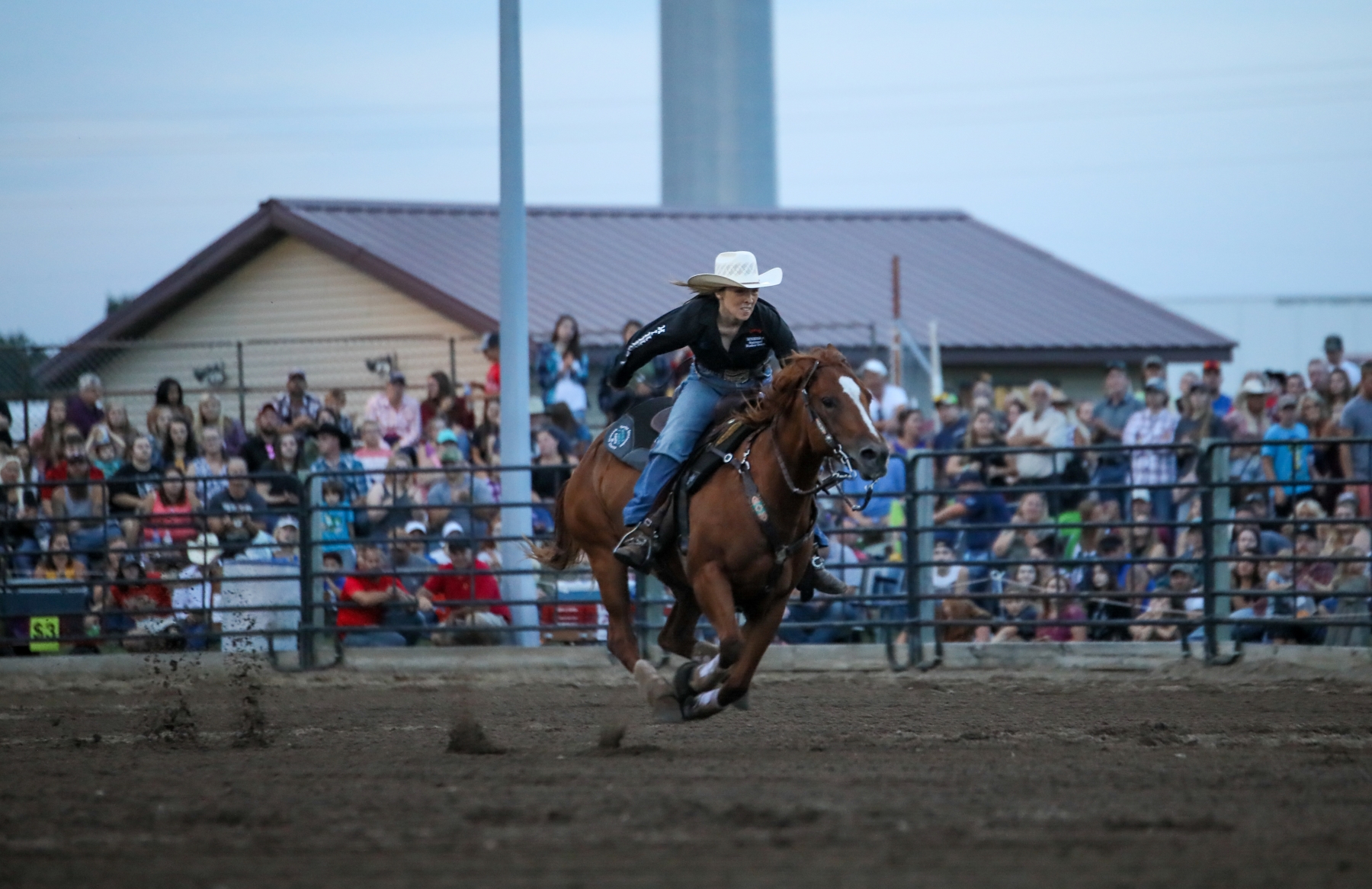 RODEO DAYS Annandale Advocate