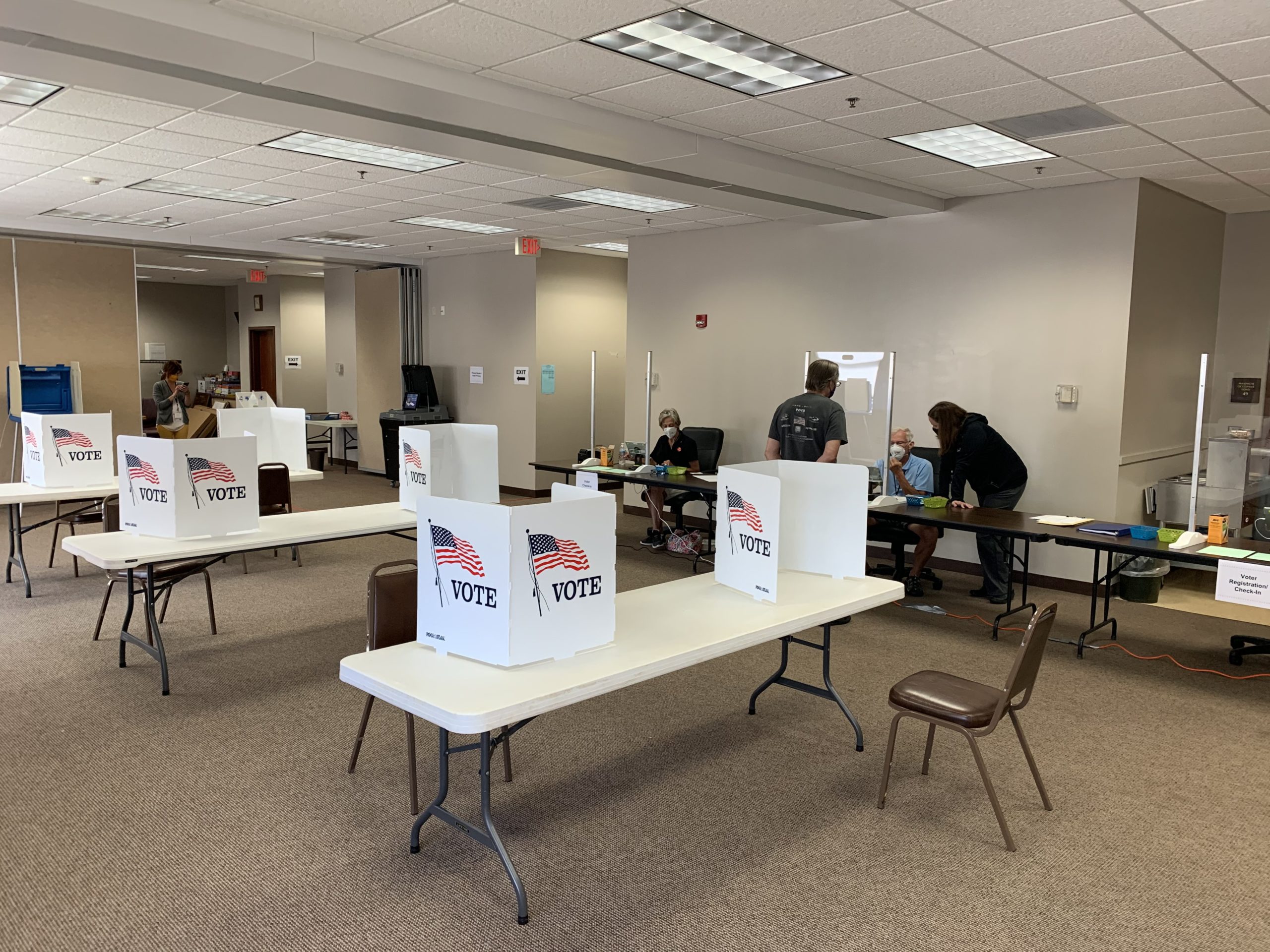 2020 Primary election results | Annandale Advocate